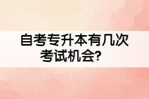 自考专升本有几次考试机会？