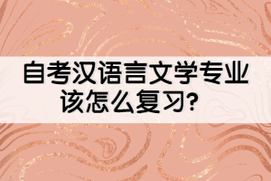 自考汉语言文学专业该怎么复习？