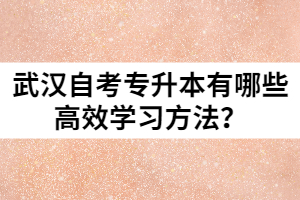 武汉自考专升本有哪些高效学习方法？