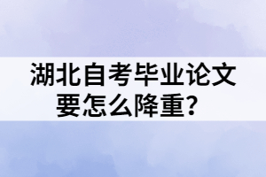 湖北自考毕业论文要怎么降重？