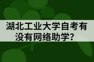 湖北工业大学自考有没有网络助学？