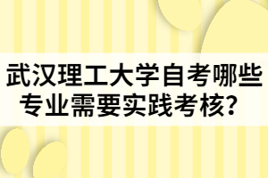 武汉理工大学自考哪些专业需要实践考核？