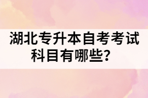 湖北专升本自考考试科目有哪些？