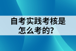 自考实践考核是怎么考的？