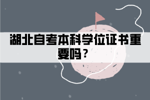 湖北自考本科学位证书重要吗？