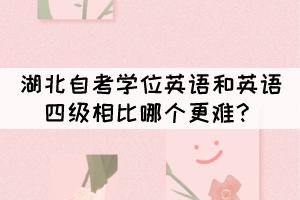 初中学历可以报考湖北自考本科吗？