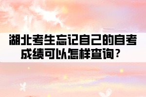 湖北考生忘记自己的自考成绩可以怎样查询? 湖北考生忘记自己的自考成绩可以怎样查询?