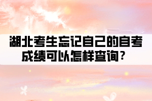 湖北考生忘记自己的自考成绩可以怎样查询？