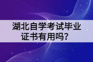 湖北自学考试毕业证书有用吗？