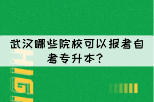 武汉哪些院校可以报考自考专升本？