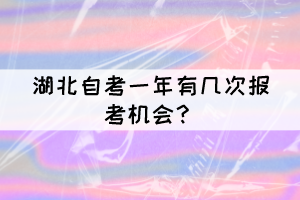 湖北自考一年有几次报考机会？