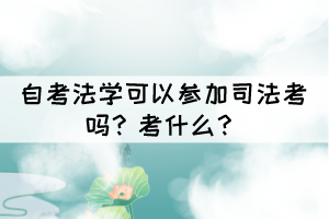 自考法学可以参加司法考试吗？考什么？