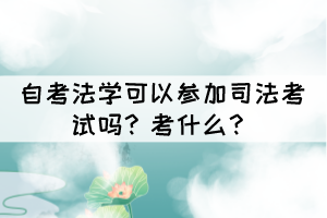 自考法学可以参加司法考试吗？考什么？