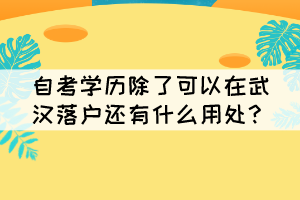自考学历除了可以在武汉落户还有什么用处? 自考学历除了可以在武汉落户还有什么用处?