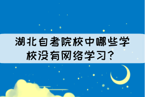 湖北自考院校中哪些学校没有网络学习？