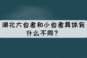 湖北大自考和小自考具体有什么不同? 湖北大自考和小自考具体有什么不同?
