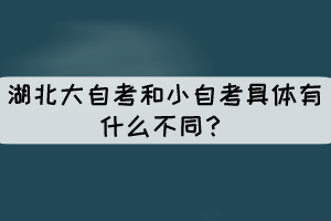 湖北大自考和小自考具体有什么不同？