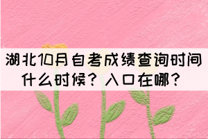 湖北10月自考成绩查询时间什么时候？入口在哪？