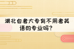 湖北自考全日制大专哪些专业不用考英语? 湖北自考全日制大专哪些专业不用考英语?