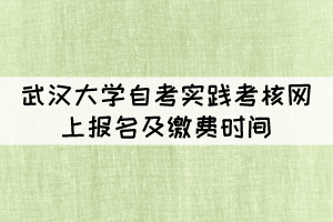 2022年上半年武汉大学自考实践考核网上报名及缴费时间