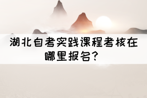 湖北自考实践课程考核在哪里报名? 湖北自考实践课程考核在哪里报名?