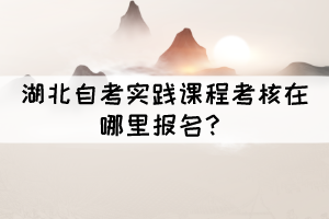 湖北自考实践课程考核在哪里报名？