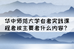 华中师范大学自考实践课程考核主要考什么内容? 华中师范大学自考实践课程考核主要考什么内容?