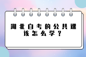 湖北自考的公共课该怎么学？