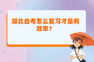 湖北自考怎么复习才是有效率？