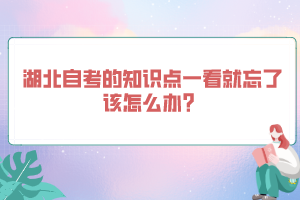 湖北自考的知识点一看就忘了该怎么办？