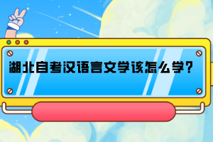 湖北自考汉语言文学该怎么学？