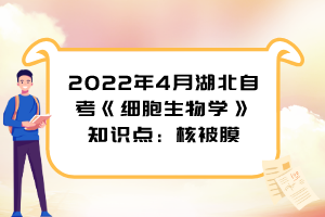 2022年4月湖北自考《细胞生物学》知识点：核被膜