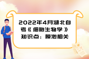 2022年4月湖北自考《细胞生物学》知识点：膜泡相关