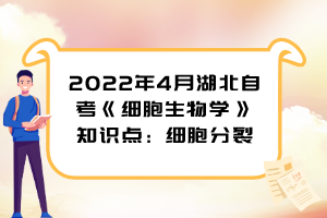 2022年4月湖北自考《细胞生物学》知识点：细胞分裂