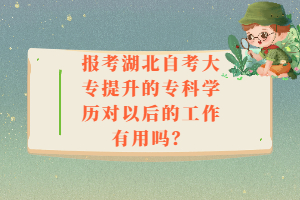 报考湖北自考大专提升的专科学历对以后的工作有用吗？