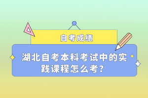 湖北自考本科考试中的实践课程怎么考？