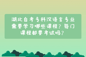 湖北自考专科汉语言专业需要学习哪些课程？每门课程都要考试吗？