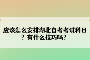 应该怎么安排湖北自考考试科目?有什么技巧吗? 应该怎么安排湖北自考考试科目?有什么技巧吗?