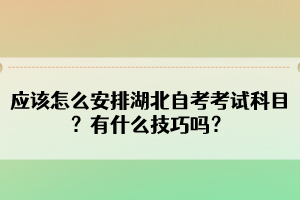 应该怎么安排湖北自考考试科目？有什么技巧吗？