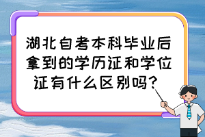 湖北自考本科毕业后拿到的学历证和学位证有什么区别吗？