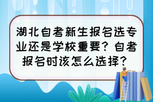 湖北自考新生报名选专业还是学校重要？自考报名时该怎么选择？