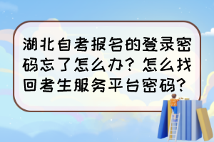 湖北自考报名的登录密码忘了怎么办？怎么找回考生服务平台密码？