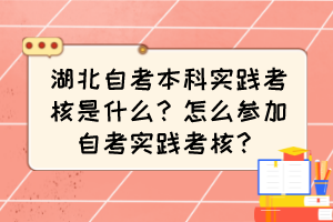 湖北自考本科实践考核是什么？怎么参加自考实践考核？