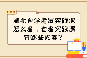 湖北自学考试实践课怎么考，自考实践课有哪些内容？