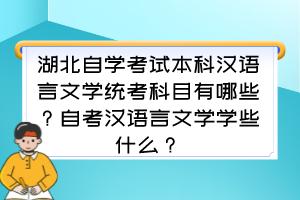 湖北自学考试本科汉语言文学统考科目有哪些？自考汉语言文学学些什么？