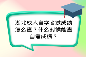 湖北成人自学考试成绩怎么查?什么时候能查自考成绩? 湖北成人自学考试成绩怎么查?什么时候能查自考成绩?