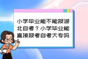 小学毕业能不能报湖北自考？小学毕业能直接报考自考大专吗？