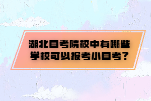 湖北自考院校中有哪些学校可以报考小自考？