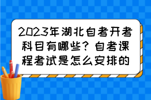 2023年湖北自考开考科目有哪些？自考课程考试是怎么安排的？