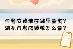 自考成绩单在哪里查询？湖北自考成绩单怎么查？